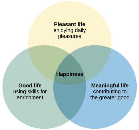 Chasing Happiness: Different Types of Happiness