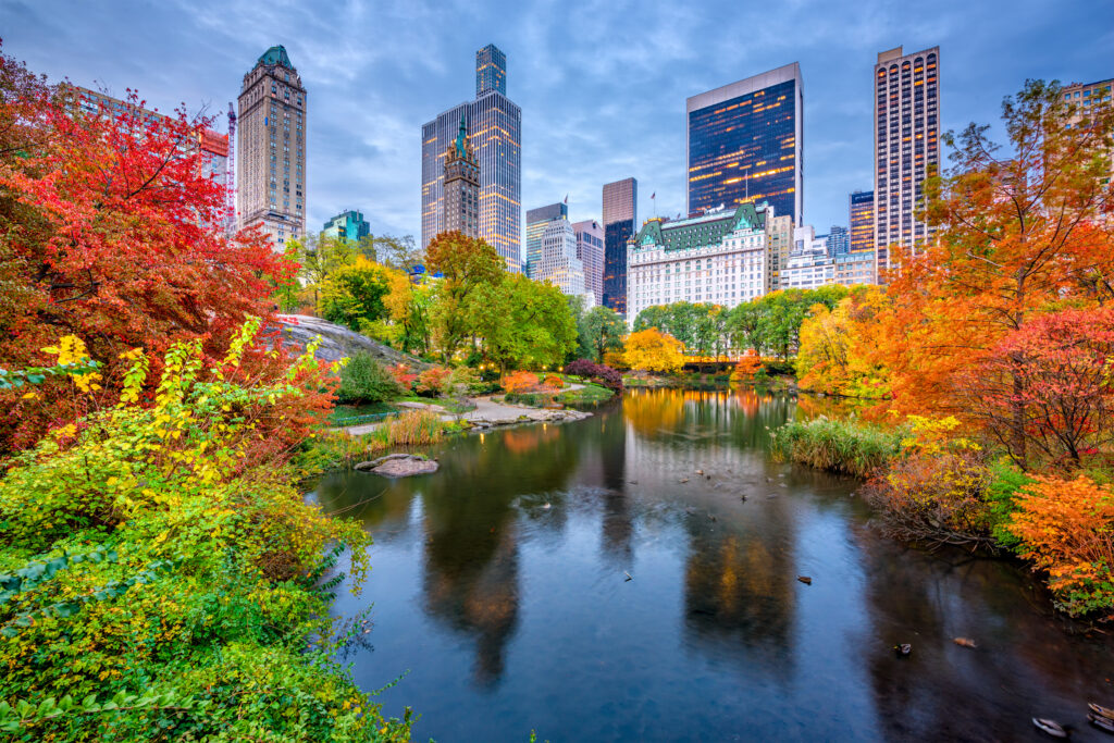 Nature – CITY PARK WITH LAKE AND FALL FOLIAGE 