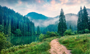 Nature – path by water trees and mountains